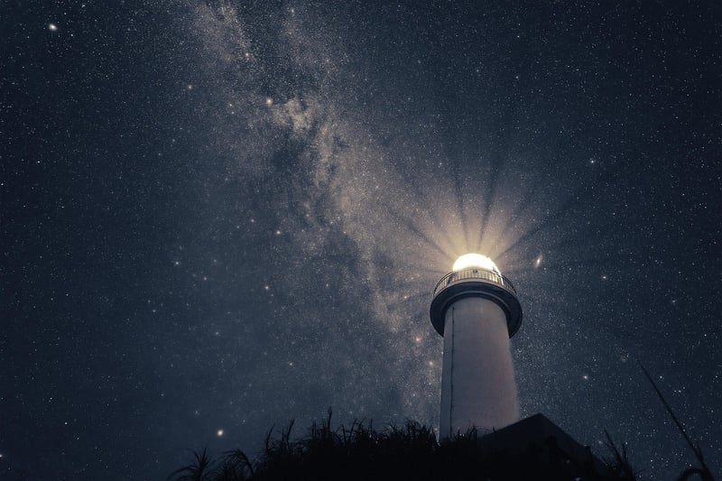 Night sky over a garden